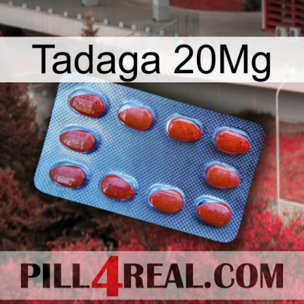 Tadaga 20Mg 06